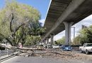 Se activa Alerta Amarilla por vientos con rachas fuertes en la Ciudad de México / @GobCDMX >>>